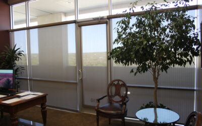 Choosing the Best Commercial Shades for Your Business